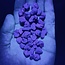 Alexandrite - Rough Raw Natural 1.30 grams