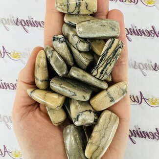 Witch Eye Rhyolite Jasper - Tumbled