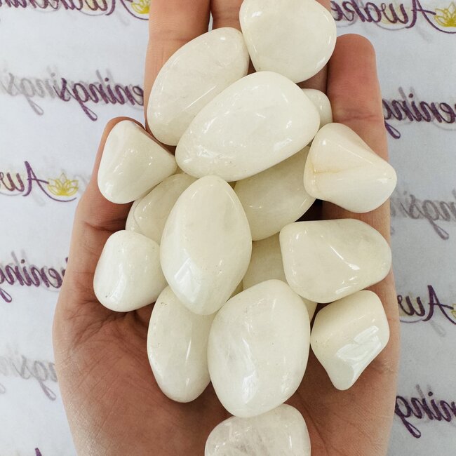 White Guardianite - Tumbled