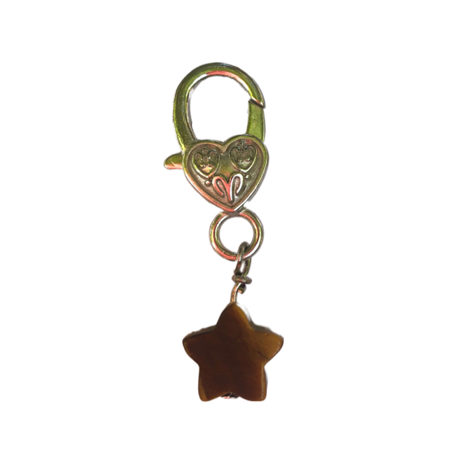 Pet Pendant (Star) Charm-Gold Tigers Eye (Training) Dog Cat Animal Collar