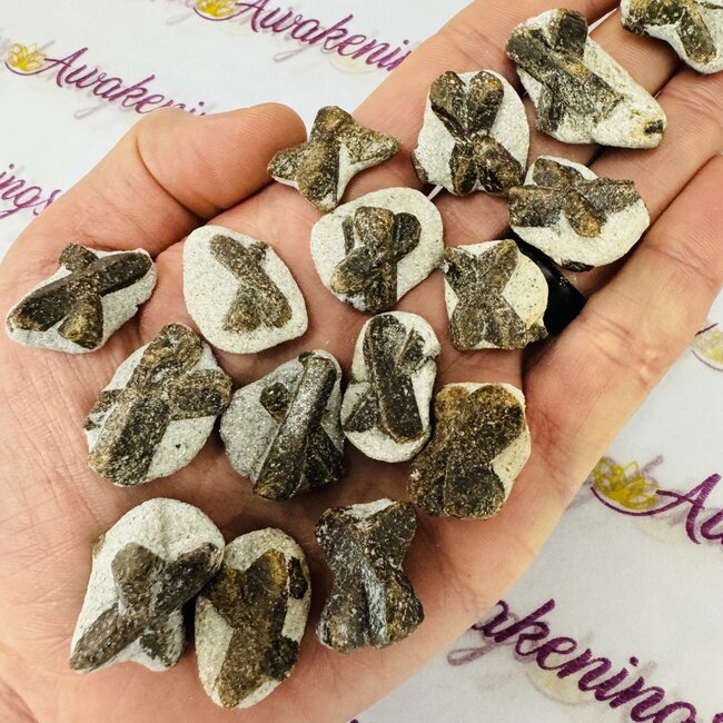 Staurolite (Fairy Cross Stone) - Natural Rough Raw