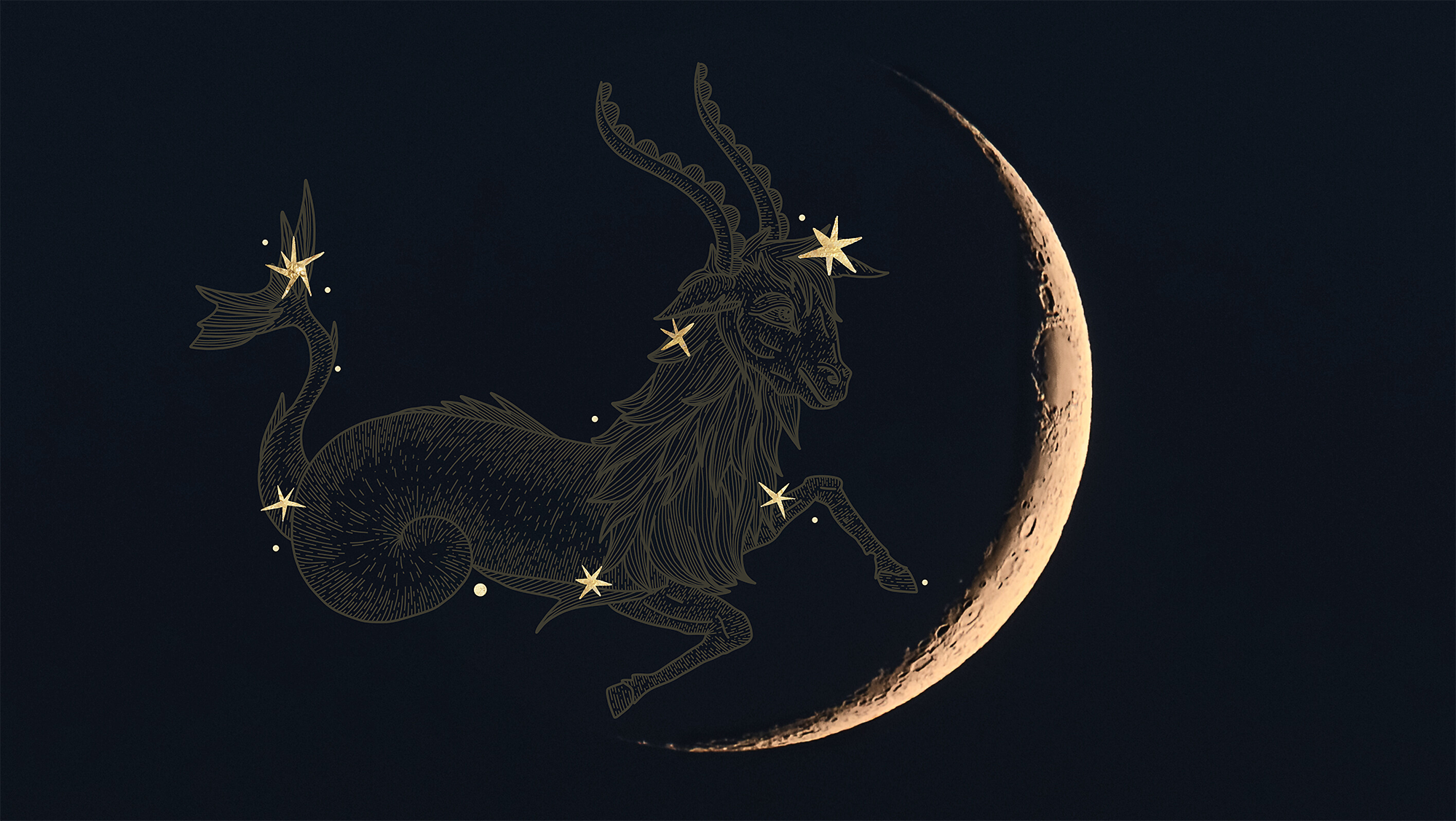 1/11 Portal: Harnessing the Energy of the January 11 New Moon in Capricorn