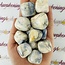 Afghanite (Afghan Lapis) - Large Tumbled Smooth