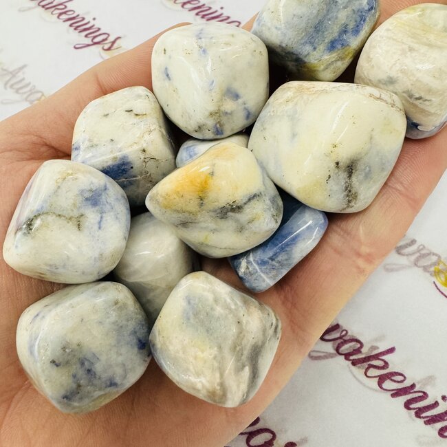 Afghanite (Afghan Lapis) - Large Tumbled Smooth