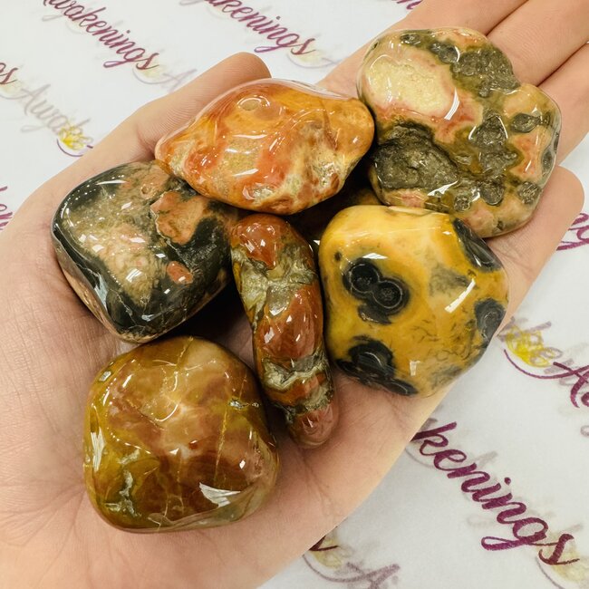 Bubblegum Agate - XL Extra Large - Tumbled