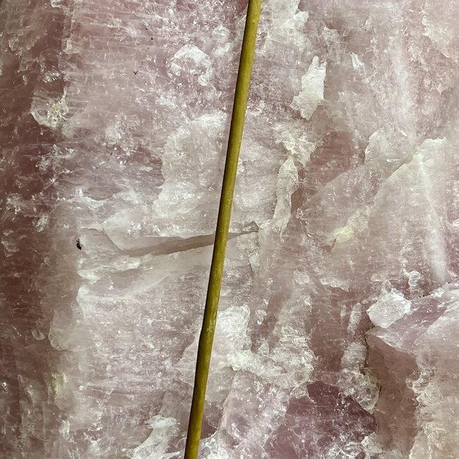 Fairy Wands - Clear Quartz Point Rough Raw Natural - 12"