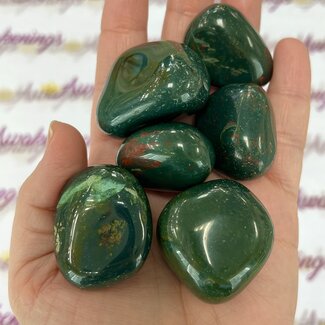 Bloodstone Heliotrope - Tumbled XL (Extra Large)