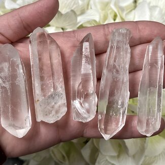 Lemurian (Lumerian) Quartz Points Large - Rough Raw Natural (AA Grade)