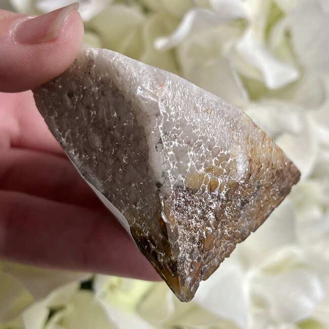 Trapiche Amethyst Point Specimen Medium - Amazon Rainforest - One Polished Face - Rough Raw Natural