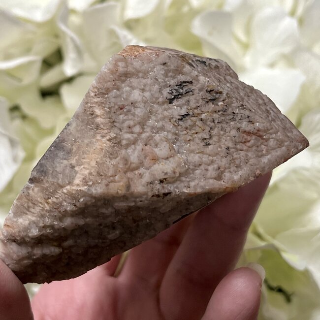 Trapiche Amethyst Point Specimen Large - Amazon Rainforest - One Polished Face - Rough Raw Natural