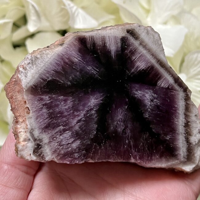Trapiche Amethyst Point Specimen Large - Amazon Rainforest - One Polished Face - Rough Raw Natural