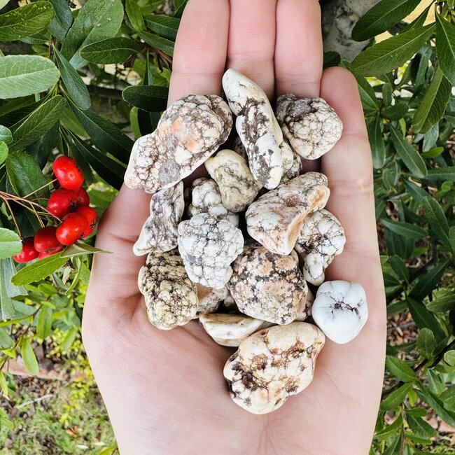 Datolite - Rough Raw Natural