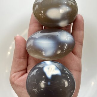 Orca Agate Palm Pillow Pocket Stone - Large