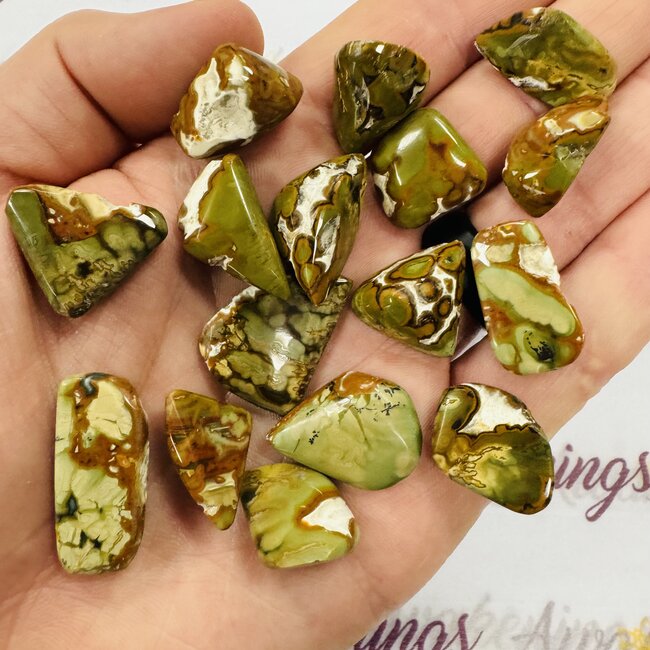 Green Opal (Chukotka) Tumbled