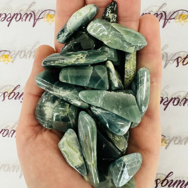 Guatemalan Jade Polished Flats Slabs Slices - Small