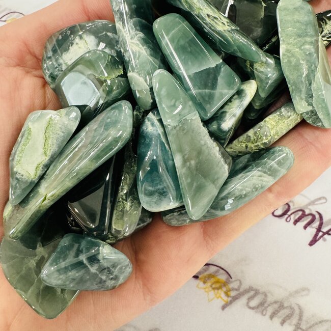 Guatemalan Jade Polished Flats Slabs Slices - Small