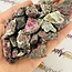 Eudialyte - Rough Raw Natural