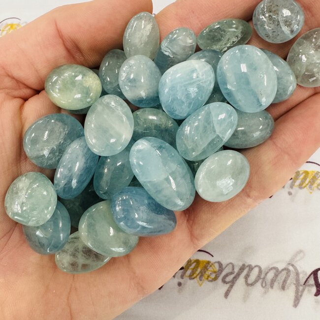 tn 3 white aquamarine