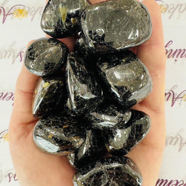 Nuummite (Greenland) Large - Tumbled
