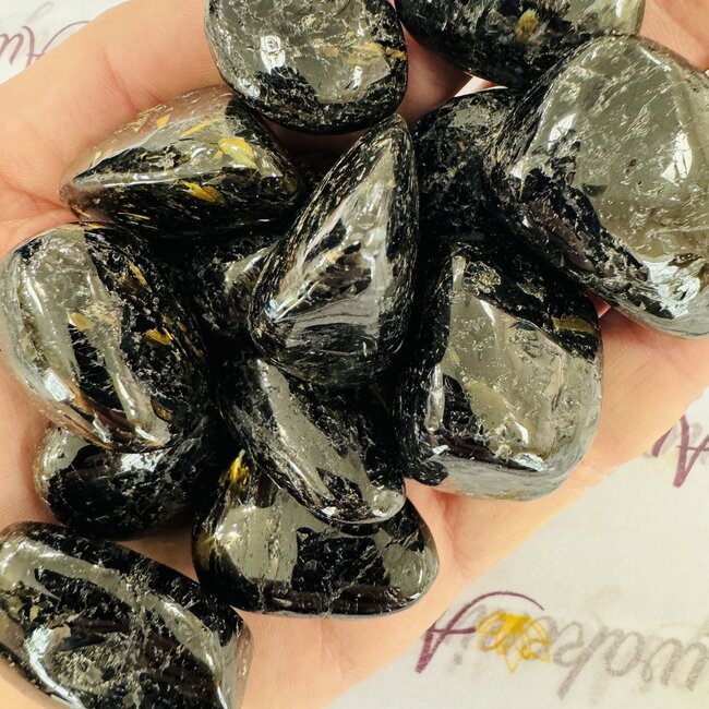Nuummite (Greenland) Large - Tumbled