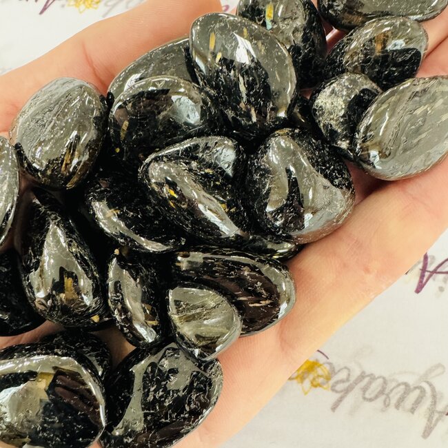 Nuummite (Greenland) Medium - Tumbled