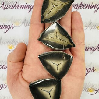 Septarian Jasper (Dragon Stone) Nodule Pairs - A Grade Large - Rough Raw Natural