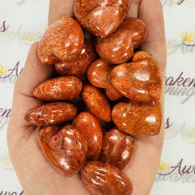Red Coral Hearts - Medium