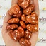 Red Coral Hearts - Medium