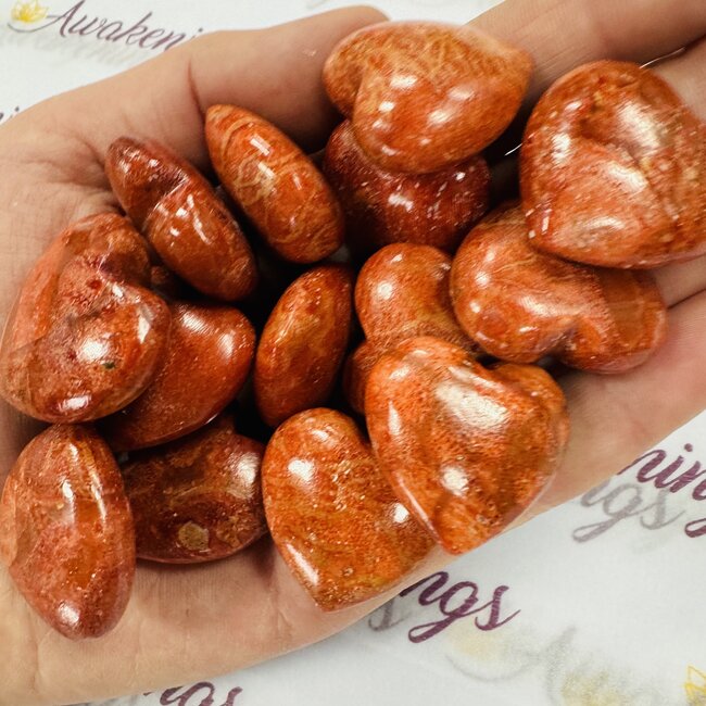 Red Coral Hearts - Medium