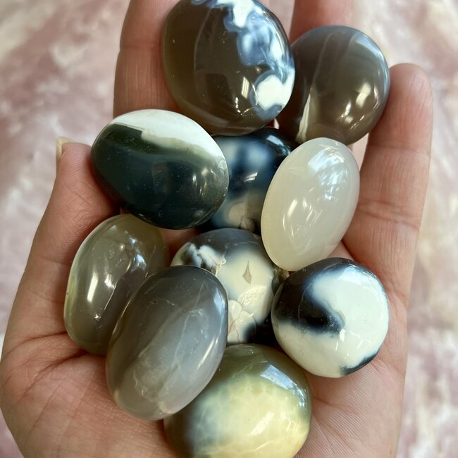 Orca Agate Palm Pillow Pocket Stones - Small
