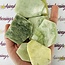 Jade (Myanmar Burma) Slice