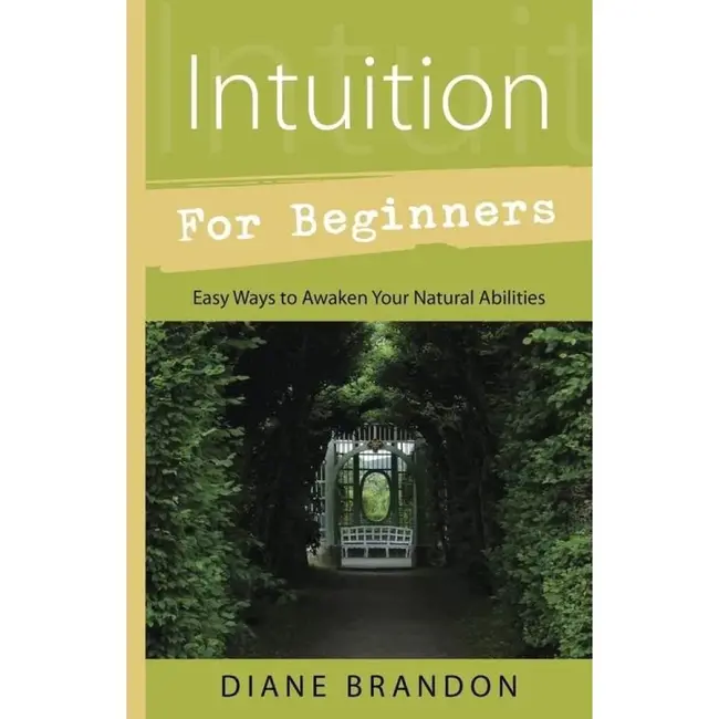 Intuition for Beginners Book