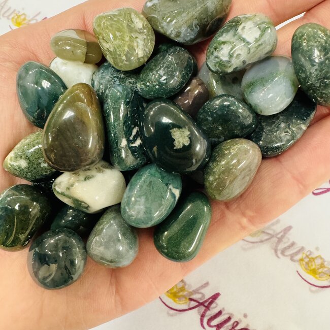 Moss Agate - Tumbled Smooth