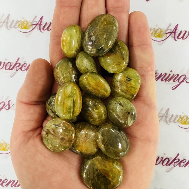 Green Kyanite (AAA Grade) - Tumbled Smooth