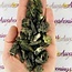 Green Epidote (Pistacite) - Mini Rough Raw Natural