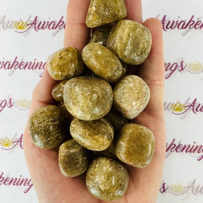 Harlequin Quartz - Tumbled