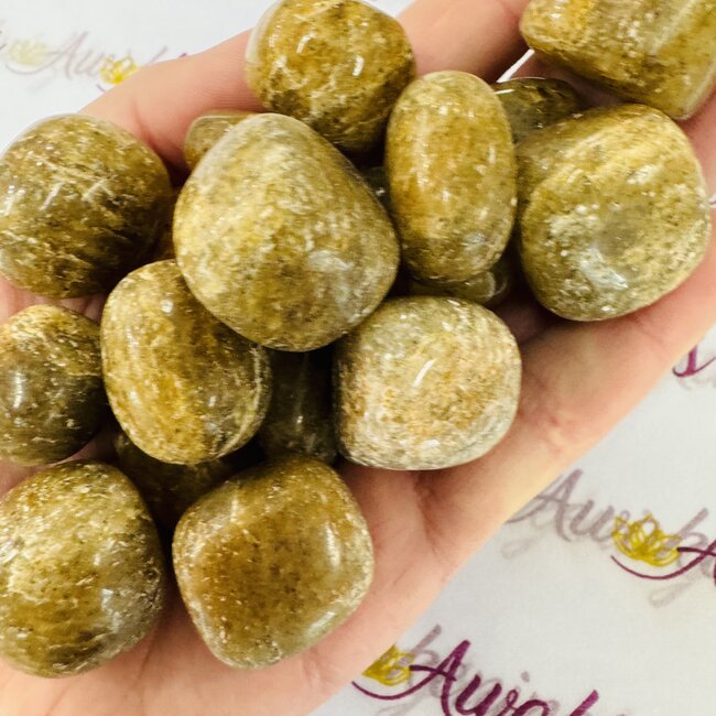 Harlequin Quartz - Tumbled