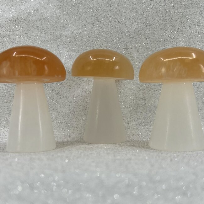 Selenite (Satin Spar Gypsum) Mushrooms with Orange Peach Selenite Top - 2-3" Medium