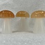 Selenite (Satin Spar Gypsum) Mushrooms with Orange Peach Selenite Top - 2-3" Medium
