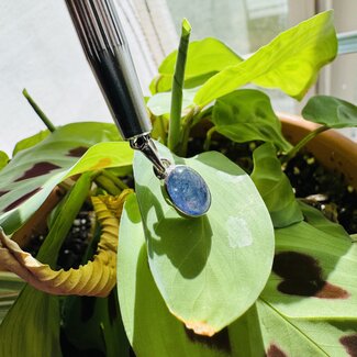 Tanzanite Pendant - Oval Bezel Set Sterling Silver