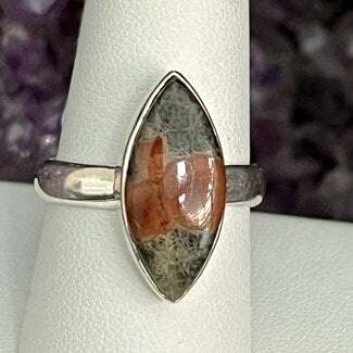 Peanut Wood Obsidian Rings - Size 10 Marquee Marquise Bezel Set - Sterling Silver