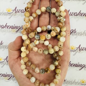 Mexican Opal Bracelets - 8mm