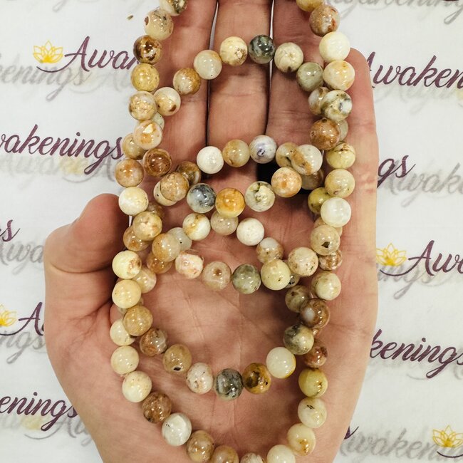 Mexican Opal Bracelets - 8mm