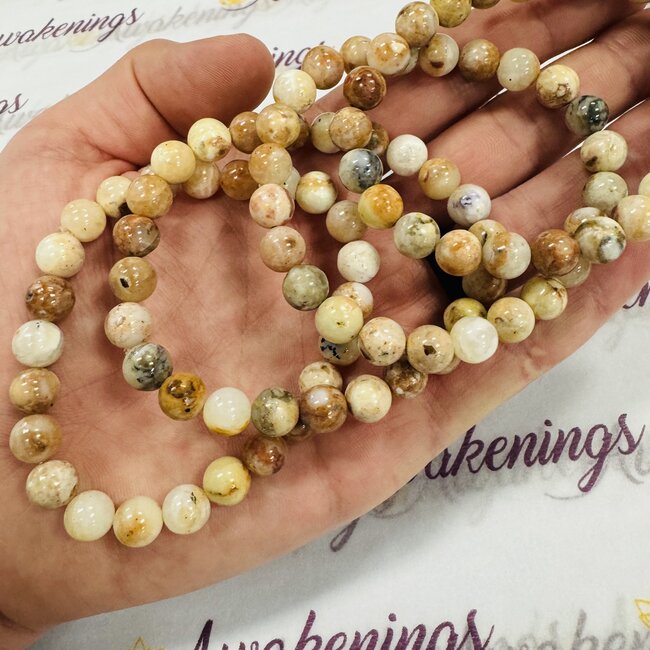 Mexican Opal Bracelets - 8mm