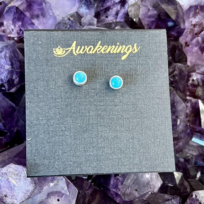 Turquoise Earrings - Studs Round Circle Bezel Set - Sterling Silver