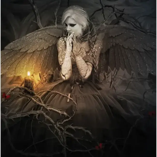 Dark Light Oracle Deck Cards - Tarot Cards