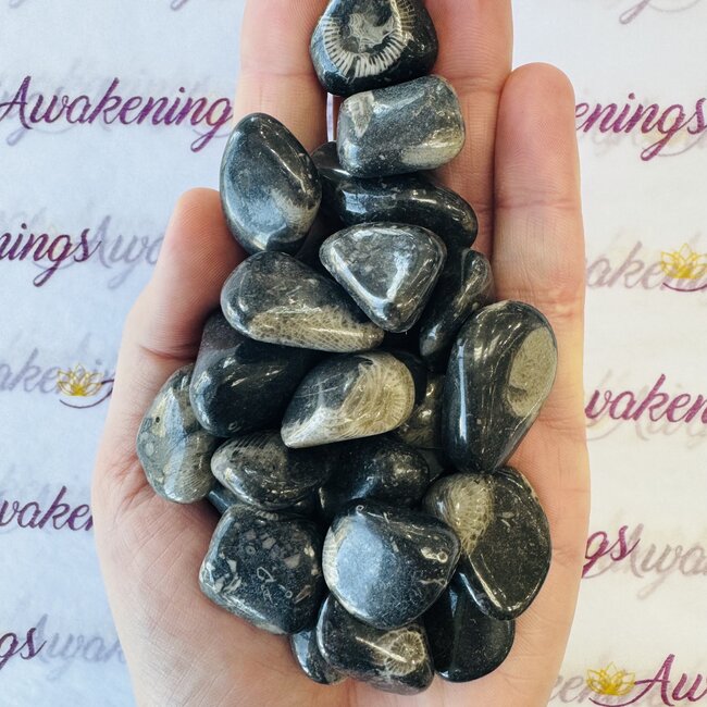 Vatican Stone - Tumbled