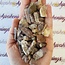 Lithium Quartz Points - Small Rough Raw Natural