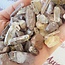 Lithium Quartz Points - Small Rough Raw Natural