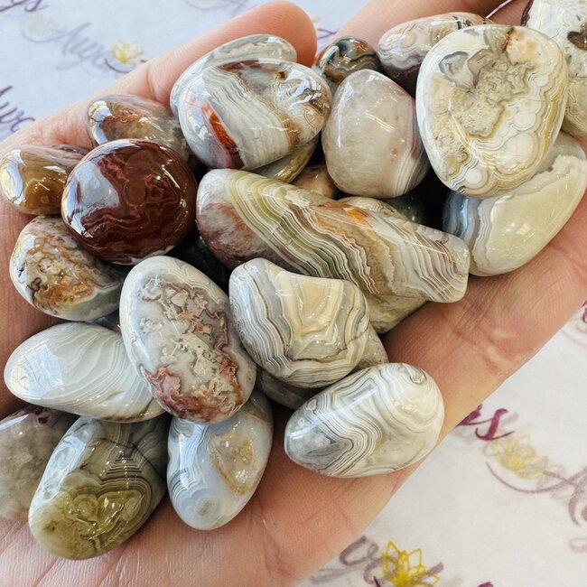 Mexican Agate - Tumbled